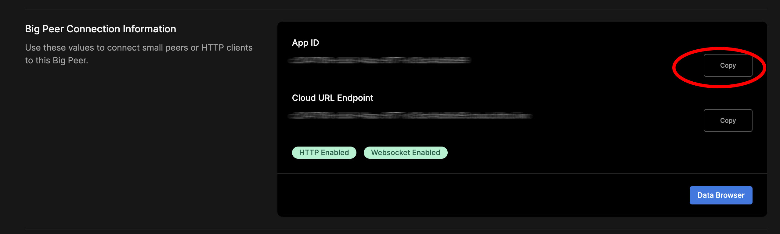 Obtaining the App ID from the portal